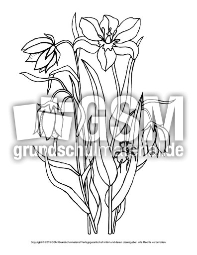 Ausmalbild-Tulpen-1.pdf